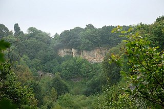 <span class="mw-page-title-main">Doulton's Claypit</span>