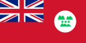 Flag of جونا گڑھ