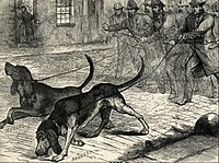 Illustration from The Penny Illustrated Paper of 20 October 1888 with the caption saying "Sir Charles Warren's new criminal trackers: Mr Brough's bloodhounds being trained" Drawing of the Whitechapel bloodhouse trial.jpg