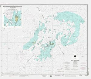 Nautical map of the Dry Tortugas