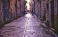 Dubrovnik the old street.jpg