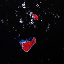 Niuatoputapu avant le tsunami de 2009 (en rouge, la végétation). Image de la NASA.