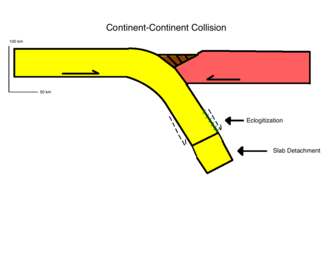 Fig 2. Eclogitization Schematic showing slab detachment within mantle and area of eclogitization and densification of subducting crust, which is a possible explanation for continental "undertow" Eclogitization schematic 1.png