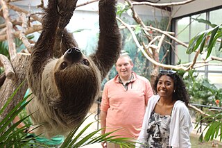 <span class="mw-page-title-main">Elmwood Park Zoo</span> Zoo in Pennsylvania, U.S.