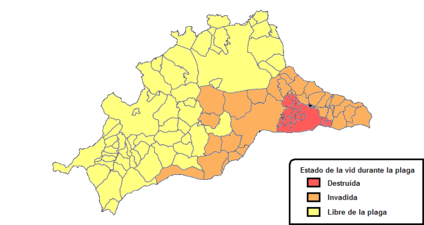 Vinlussituation i Málaga 1990 Rött = Vin utrotat Orange = Skada Gult = fritt från vinlus