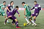 Austriako futbol liga-en irudi txikia