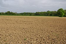 Fallow field by Coldharbour Lane - geograph.org.uk - 1309079.jpg
