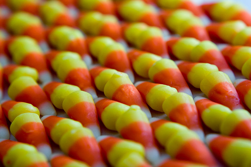 File:Field of candy corn (2995944456).jpg