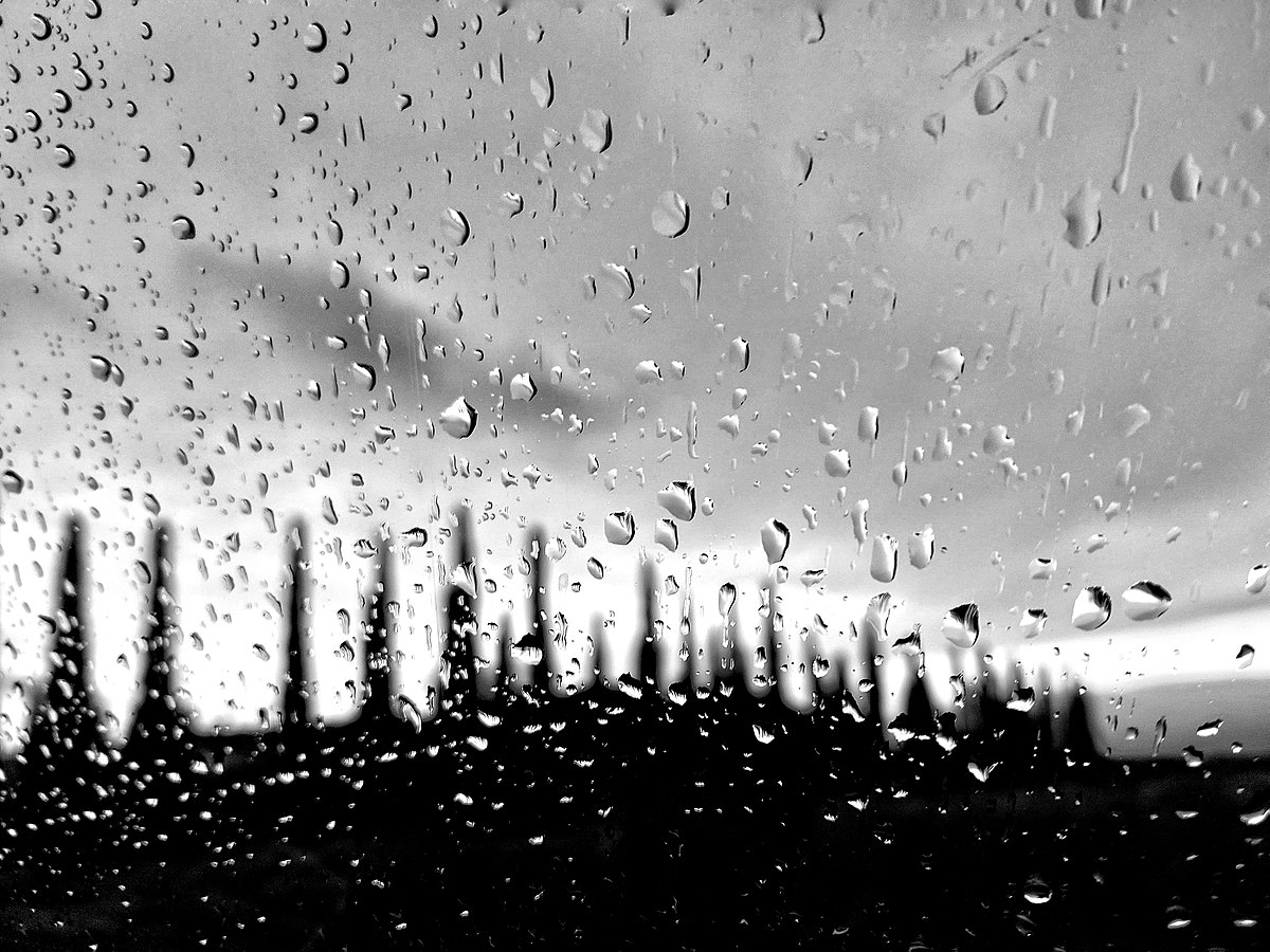 Rain it up 2. Rain jpeg. Rain.jpg.