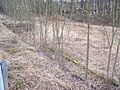 Deutsch: Ehemaliges nördliches Ende (die zwei Prellböcke, heute wächst dort ein Wald) der Schnaittachtalbahn, Simmelsdorf, Deutschland. English: Former northern end (the two buffer stops in the forest) of the Schnaittachtalbahn, Simmelsdorf, Germany.