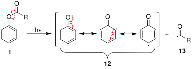 Formation des radicaux acyle et aryloxy (avec ici trois mésomères).