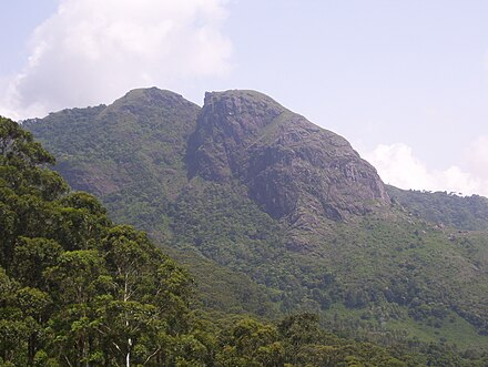 Frog Hill view in Gudalur