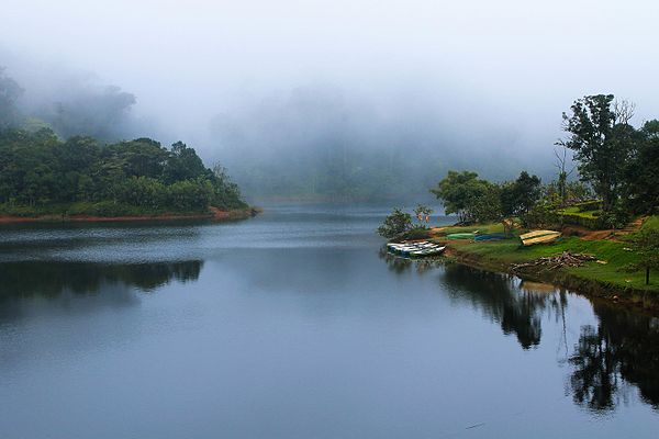 Image: Gavi, Kerala