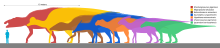 Size comparison of several large ornithopods, Shantungosaurus in red Giant Ornithopod Scale.svg