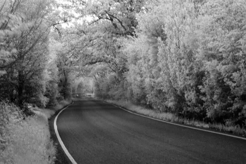 File:Gordano road in Infra Red - panoramio.jpg