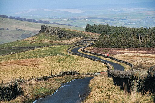 Goyt Forest - geograph.org.uk - 3799035