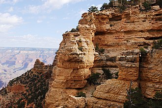 Grand Canyon National Park- The Kaibab from South Kaibab Trail.jpg