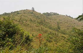 Blick vom Grassy Hill.