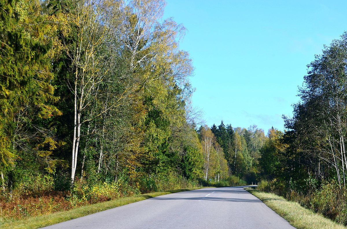 Lithuanian Forest.