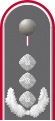 Dienstgradabzeichen eines Oberst i. G. auf Schulterklappe der Jacke des Dienstanzuges für Heeresuniformträger