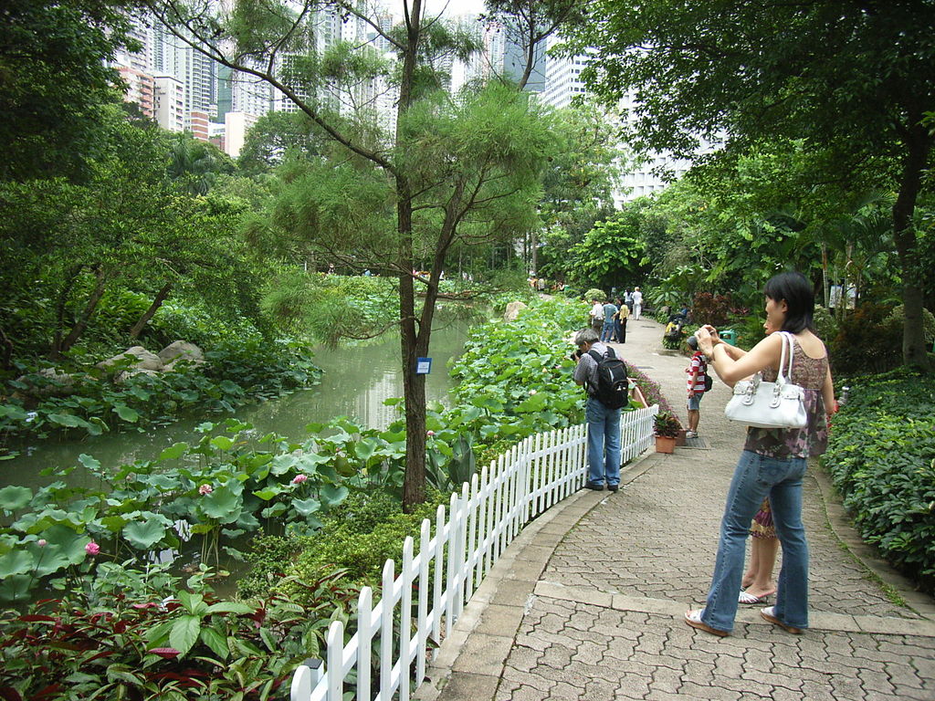 File Hk Park Lotus Pool Jpg Wikimedia Commons