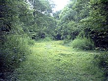 Ham Street Hutan - Gill Pertanian Lagu - geograph.org.inggris - 21435.jpg