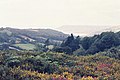 View from Hardown Hill looking west towards the Dorset coast