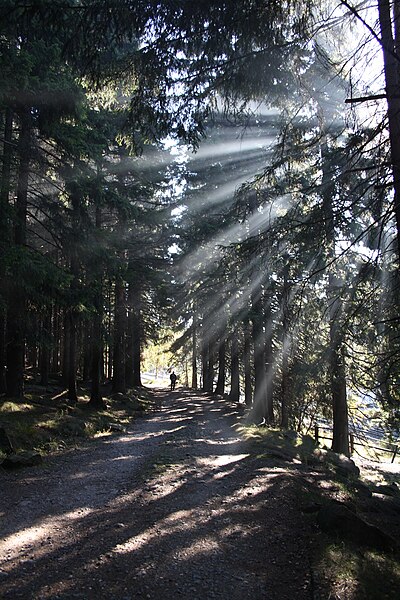 File:Harz Schierke.JPG