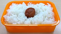 What is a bento box?. A Bento box is a single-portion…, by Lumpy Batter