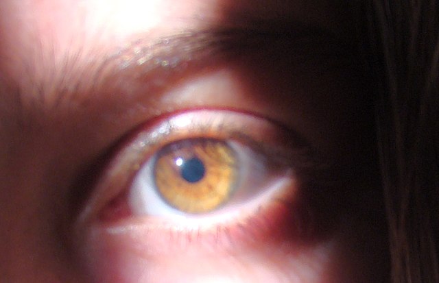 File:Amber-colored-eye.jpg - Wikimedia Commons