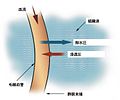 2008年8月29日 (金) 01:41時点における版のサムネイル