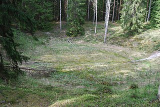 <span class="mw-page-title-main">Ilumetsa crater</span> Impact craters in Estonia