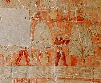 Reliëf scene van de handel met het buitenland (Poent) werd hernieuwd o.a. voor bomen Dodentempel van Hatsjepsoet, Deir el-Bahari