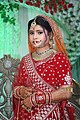 Indian UttarPradesh Brides Images (29)