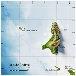 Fortune Salaire Mensuel de Cedros Island Combien gagne t il d argent ? 10 000,00 euros mensuels