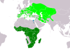 Aire de répartition du Blongios nain