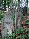 Jüdischer Friedhof Altengronau 2.JPG