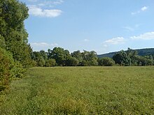 Ein typisches Bild aus der Jagstaue. Es überwiegt Grünlandnutzung, die Flussufer sind fast durchgehend von Weichlaubhölzern begleitet. Im Hintergrund ein bewaldeter Nordhang, der Beginn des Harthäuser Waldes.