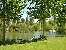 Los jardines de la Laguna del Pozo Airón, en este parque de Chapinería residen algunas aves