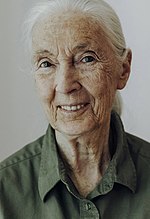 Vorschaubild für Jane Goodall