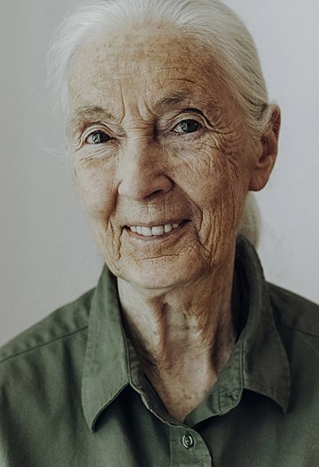 Jane Goodall