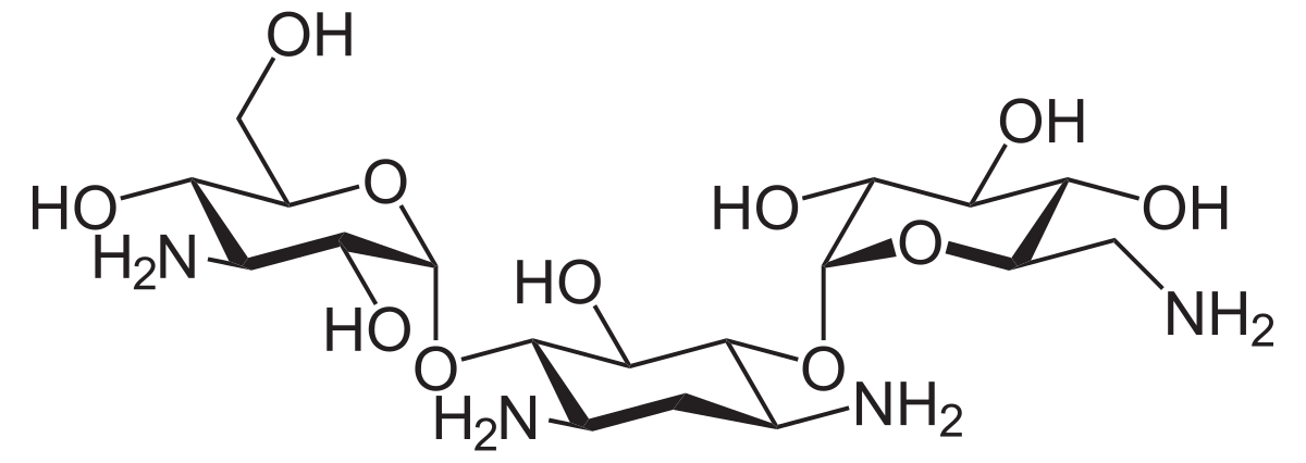 kanamycin sulfate