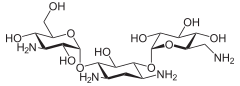 Struktur von Kanamycin A