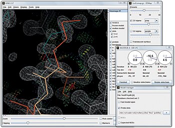 KiNG: modeling a sidechain alternate conformation into electron density, with all-atom contact dots for real-time evaluation KiNG backrubFit modeling in density.jpg