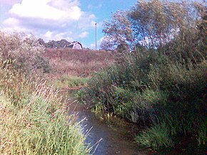 река Колошка в районе деревни