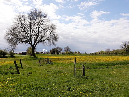 Koppenwaard