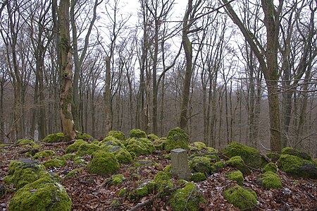 Kreuzberg Westerwald Obershausen