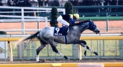 チャンピオンズカップ 中央競馬 Wikiwand