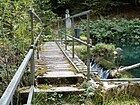 Lac-Vert footbridge over the Sorne, Undervelier JU 20180929-jag9889.jpg