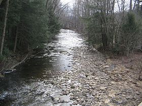 Larrys Creek in Anthony Township.JPG